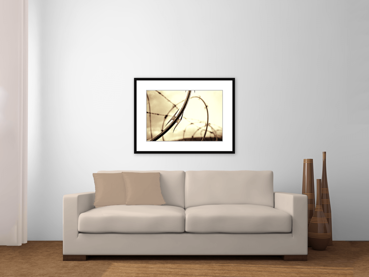 "Containment" Framed Photograph Over Couch