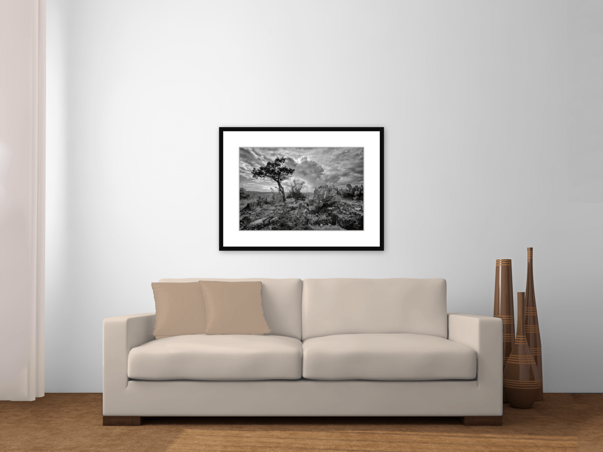 Hill Country Delight Black and White Texas Landscape Framed Above a Couch